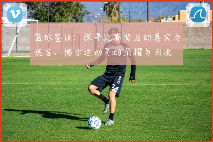 篮球鉴证：探寻比赛背后的真实与谎言，揭示运动员的荣耀与困境