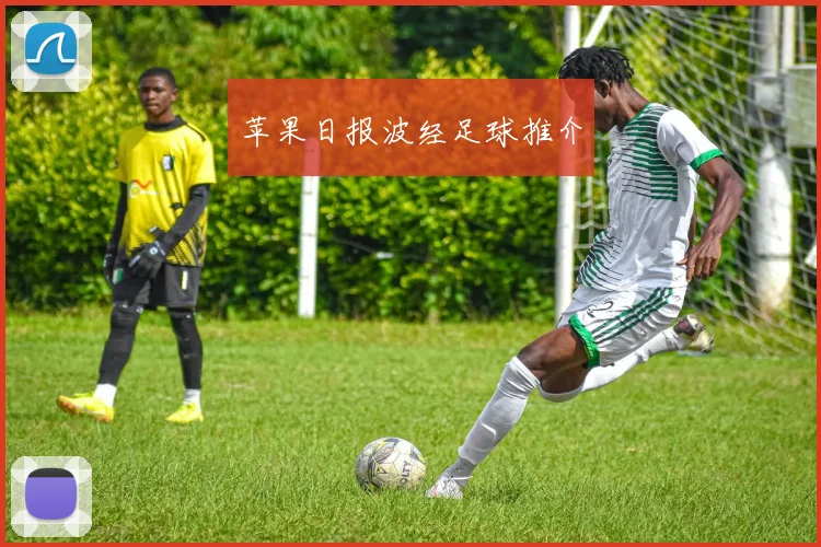 苹果日报波经足球推介