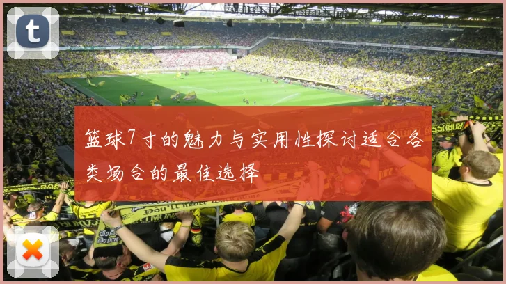 篮球7寸的魅力与实用性探讨适合各类场合的最佳选择